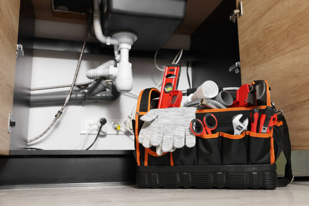Best Clogged Drain Plumber  in South Coatesville, PA